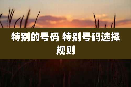 特别的号码 特别号码选择规则