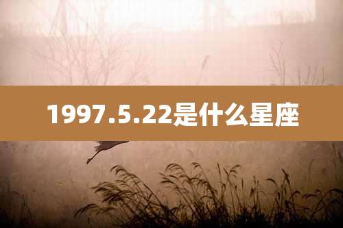 1997.5.22是什么星座