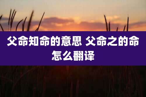 父命知命的意思 父命之的命怎么翻译