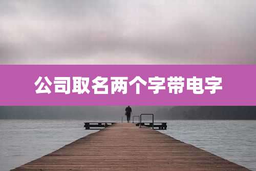 公司取名两个字带电字