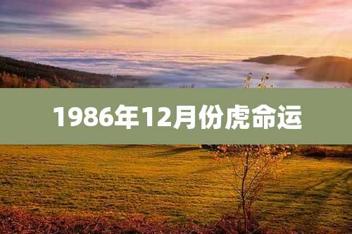 1986年12月份虎命运