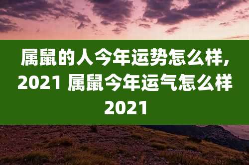 属鼠的人今年运势怎么样,2021 属鼠今年运气怎么样2021
