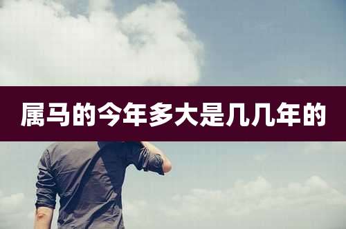属马的今年多大是几几年的