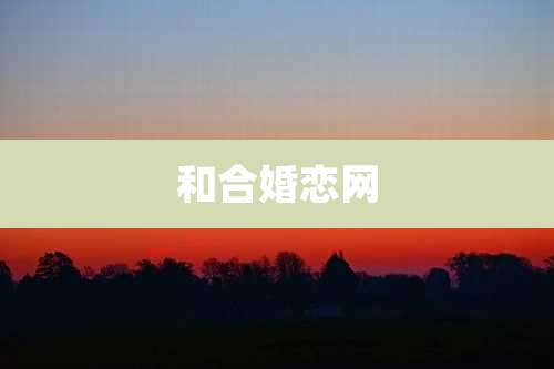 和合婚恋网