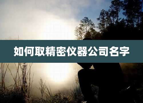 如何取精密仪器公司名字