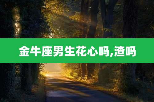 金牛座男生花心吗,渣吗