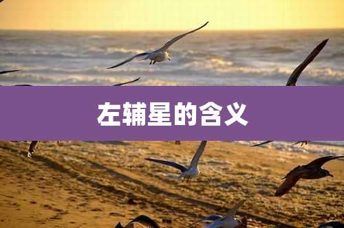 左辅星的含义