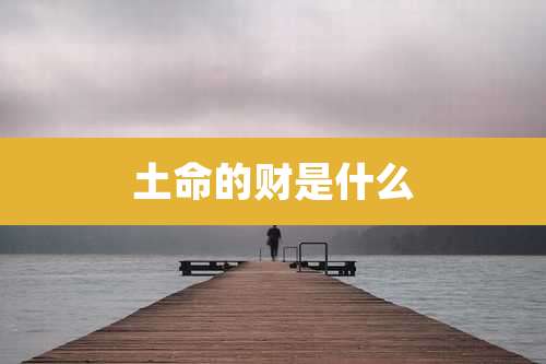 土命的财是什么