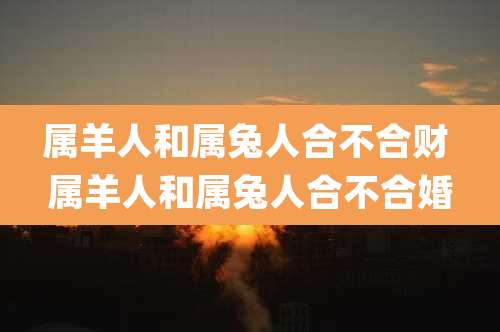 属羊人和属兔人合不合财 属羊人和属兔人合不合婚