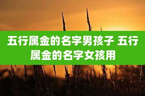 五行属金的名字男孩子 五行属金的名字女孩用
