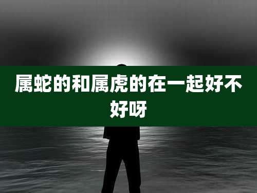 属蛇的和属虎的在一起好不好呀