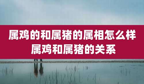 属鸡的和属猪的属相怎么样 属鸡和属猪的关系