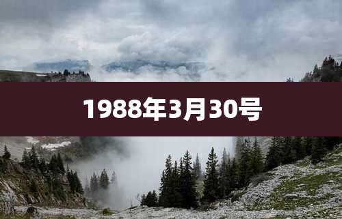 1988年3月30号