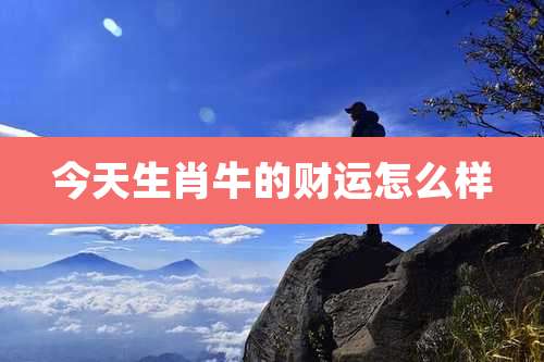 今天生肖牛的财运怎么样