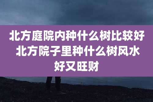 北方庭院内种什么树比较好 北方院子里种什么树风水好又旺财