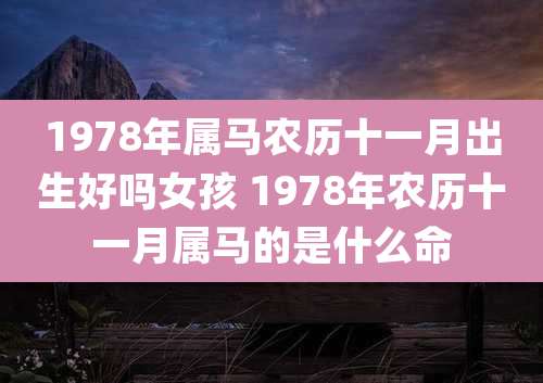 1978年属马农历十一月出生好吗女孩 1978年农历十一月属马的是什么命