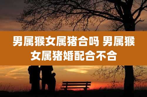 男属猴女属猪合吗 男属猴女属猪婚配合不合