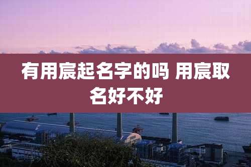 有用宸起名字的吗 用宸取名好不好