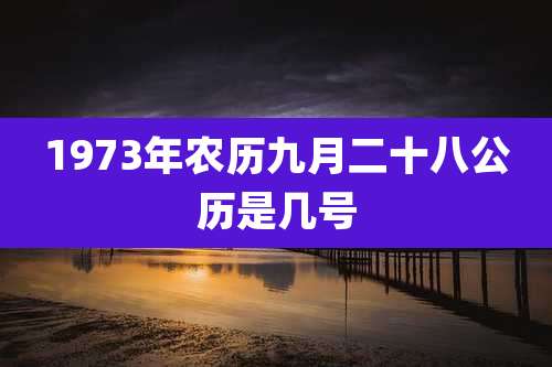1973年农历九月二十八公历是几号
