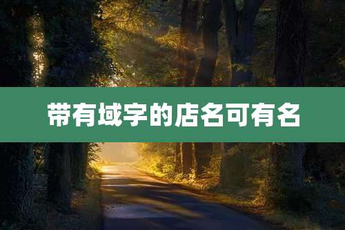 带有域字的店名可有名