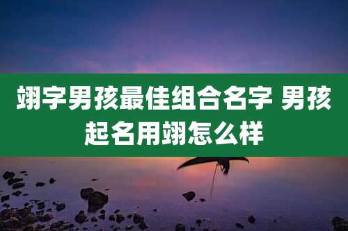 翊字男孩最佳组合名字 男孩起名用翊怎么样