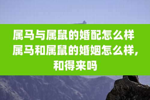 属马与属鼠的婚配怎么样 属马和属鼠的婚姻怎么样,和得来吗