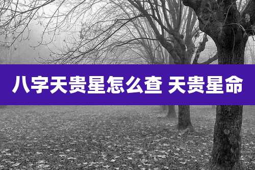 八字天贵星怎么查 天贵星命