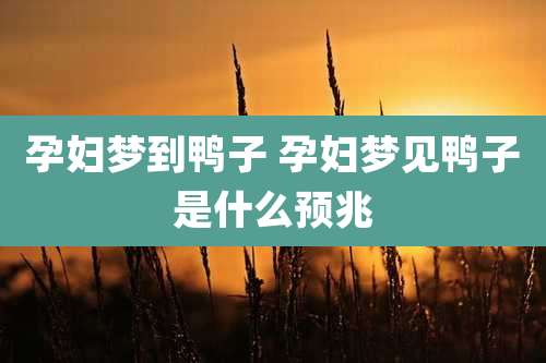 孕妇梦到鸭子 孕妇梦见鸭子是什么预兆