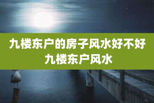 九楼东户的房子风水好不好 九楼东户风水