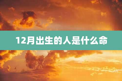12月出生的人是什么命