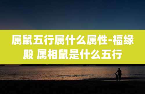 属鼠五行属什么属性-福缘殿 属相鼠是什么五行