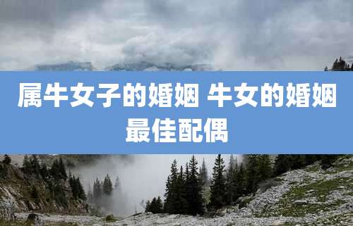 属牛女子的婚姻 牛女的婚姻最佳配偶