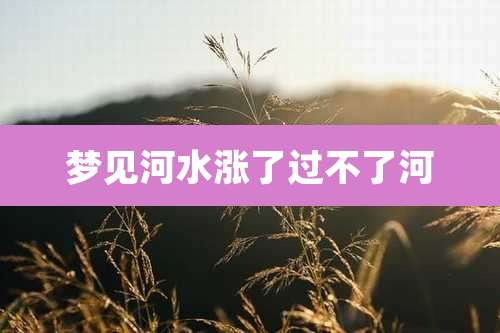 梦见河水涨了过不了河