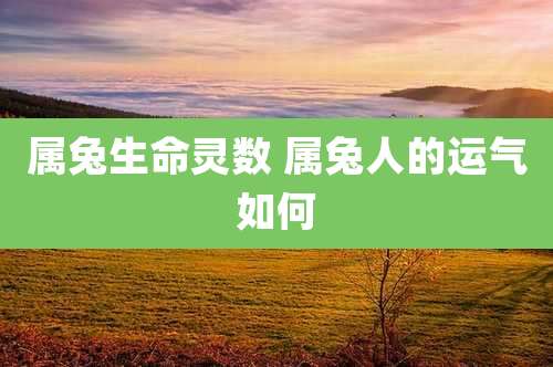 属兔生命灵数 属兔人的运气如何