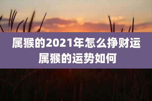 属猴的2021年怎么挣财运 属猴的运势如何