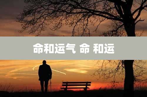 命和运气 命 和运