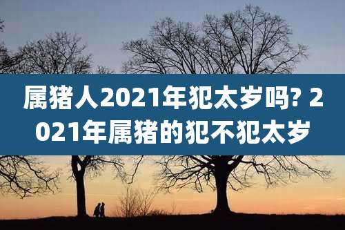 属猪人2021年犯太岁吗? 2021年属猪的犯不犯太岁