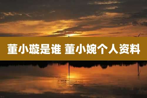 董小璇是谁 董小婉个人资料