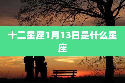 十二星座1月13日是什么星座