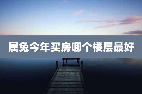 属兔今年买房哪个楼层最好