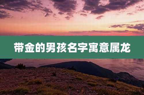 带金的男孩名字寓意属龙