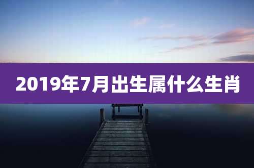 2019年7月出生属什么生肖