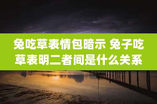 兔吃草表情包暗示 兔子吃草表明二者间是什么关系