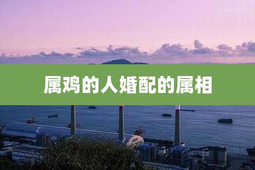 属鸡的人婚配的属相