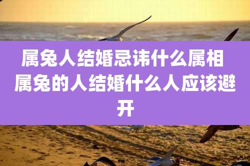 属兔人结婚忌讳什么属相 属兔的人结婚什么人应该避开