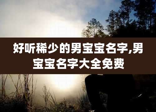 好听稀少的男宝宝名字,男宝宝名字大全免费