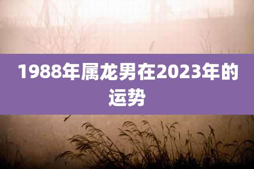 1988年属龙男在2023年的运势