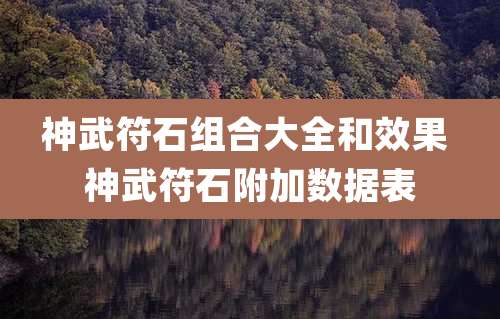 神武符石组合大全和效果 神武符石附加数据表