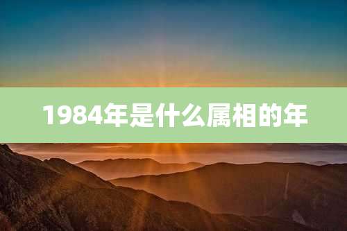 1984年是什么属相的年
