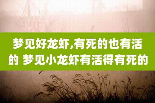 梦见好龙虾,有死的也有活的 梦见小龙虾有活得有死的